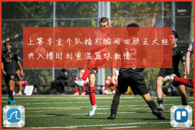 上赛季金牛队精彩瞬间回顾五大经典入樽时刻重温篮球激情