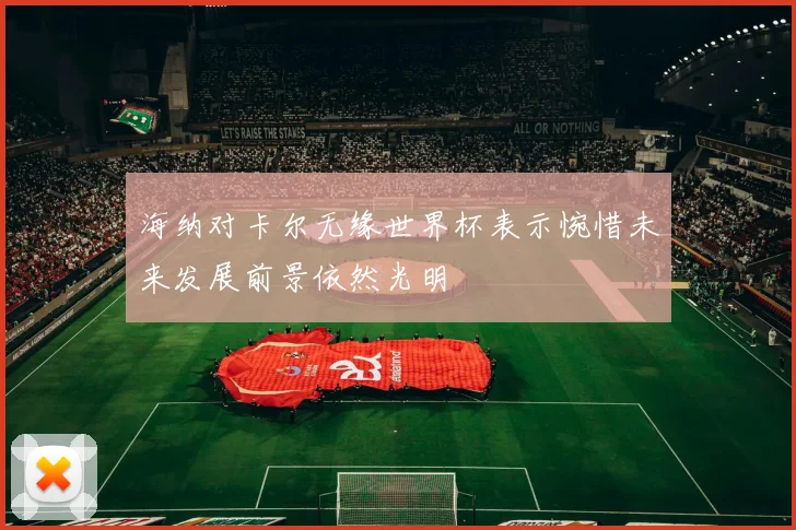 海纳对卡尔无缘世界杯表示惋惜未来发展前景依然光明