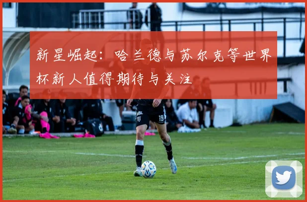 新星崛起：哈兰德与苏尔克等世界杯新人值得期待与关注